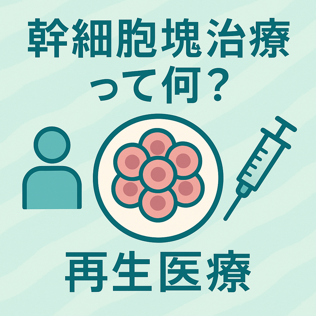 what is stem cluster