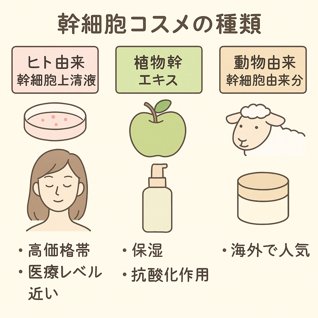 幹細胞コスメの種類比較図