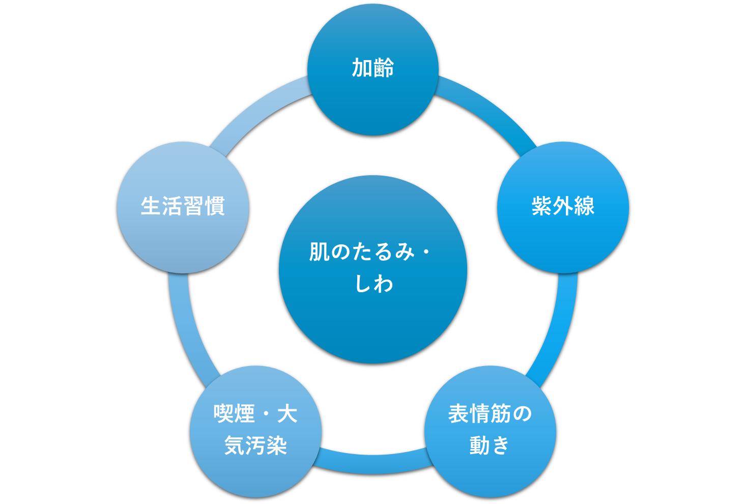 肌老化の原因の一覧図