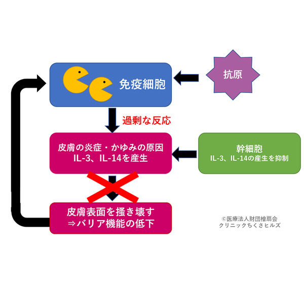 各種閲覧方法3