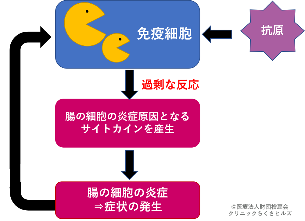 炎症性腸疾患の発生メカニズム