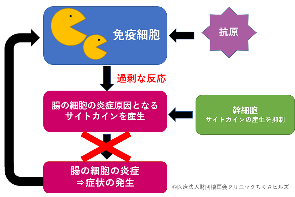 炎症性腸疾患に対する幹細胞治療